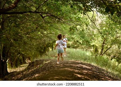 A girl in a white T-shirt runs under the trees. Nature. Backgroung. Beautiful. - Shutterstock ID 2208882511