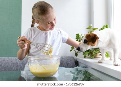 A Girl In A White T-shirt Treats Jack Russell's Dog With Whiskey Dough From A Whisk. Hungry Dog. For A Friend, Do Not Mind. Cooking At Home. Dough For Waffles. Friendship Of A Child And A Dog.