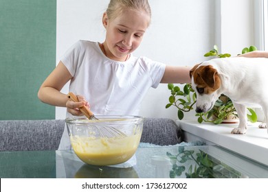 A Girl In A White T-shirt Treats Jack Russell's Dog With Whiskey Dough From A Whisk. Hungry Dog. For A Friend, Do Not Mind. Cooking At Home. Dough For Waffles. Friendship Of A Child And A Dog.