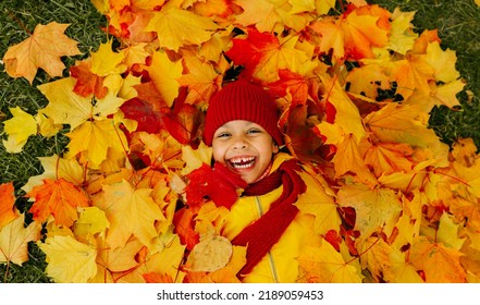 A girl with a wide smile lies on a carpet of red and yellow leaves in an autumn park. Queen of autumn and mood - Powered by Shutterstock