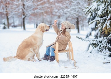 a girl in the winter forest with a golden retriever dog near the Christmas trees feeds her with cheese. Christmas and New Year - Powered by Shutterstock