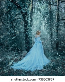 The girl is winter. The Queen in a luxurious blue dress bears snow and cold. Artistic Photography