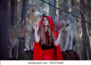 Girl With A Wolf In A Red Cloak