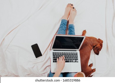 Girl Works At The Computer At Quarantine At Home. Self Isolation. Legs And Laptop Close-up, Dog Lying Next To The Hostess On The Couch       