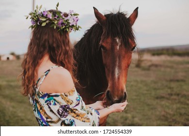 A girl with a wreath on her head feeds a horse from her hands. Girl with a brown horse.