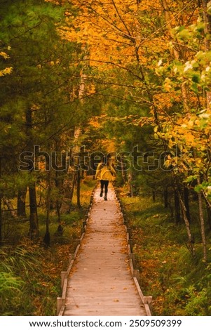 Girl in Yellow Coat Runs Beautiful Forest Nature Fall Foliage Boardwalk. Jesup Trail Acadia National Park New England. Colorful Nature Scene