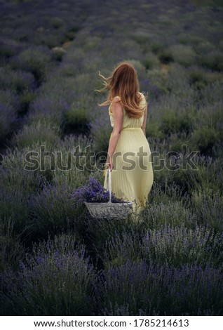 Similar – #A# Picking lavender Art