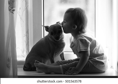 Girl,dog, Friends,rain,window,house,coziness