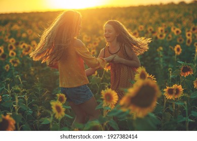 Sunflowers Field Sunset Images Stock Photos Vectors Shutterstock