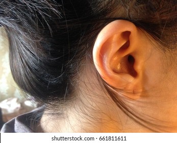 Girl's Ear With Ear Piercing Hole And Black Hair