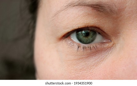 Girl's eye close-up. Macro image of a human green eye. Beautiful discerning look of female eyes without makeup. Close up shot - Shutterstock ID 1934351900