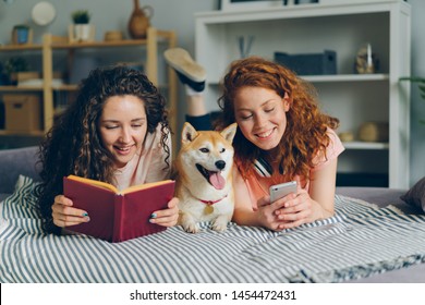 Imágenes Fotos De Stock Y Vectores Sobre Read Dogs