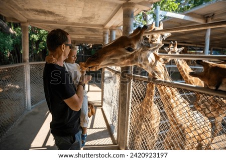 The girl's hand was giving food to the giraffe in the zoo. Father and little daughter feeding animal. Travel concept. High quality photo