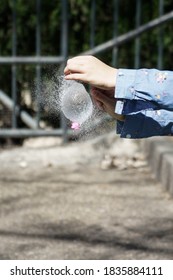 Girl's Hands Blowing Up A Water Balloon With A Needle Outdoors