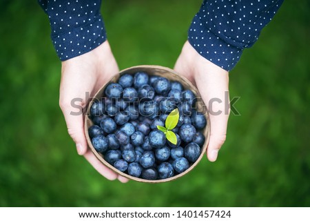 Similar – Hände, die selbstgepflückte Blaubeeren in eine Schüssel sortieren