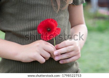 Similar – Image, Stock Photo Poppy blossom in a cereal field