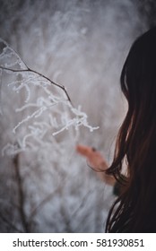 girl's hands holding frozen branch, twig covered with ice outdoors in winter. sunny frosty day. snow background. sweet cozy winter time. winter wonderland. winter still life