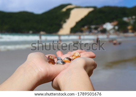 Girl's hands holding seashells on the beach with a beautiful brazilian landscape / Mãos de garota segurando conchas na mão na praia de Ponta Negra em Natal RN