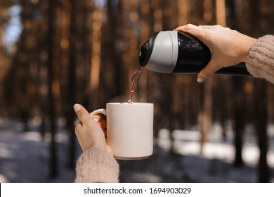Girl's hands pour tea into a thermos mug in the winter forest. A girl in a forest pours tea from a thermos into a mug.