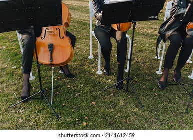 Girls musicians sit on white chairs outdoors in the park, playing the violin, cello, double bass. Concert for guests.