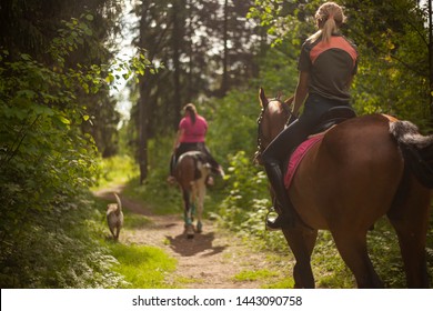 Girls On Horseback. Walking Through The Woods On A Horse. Dogs And Horses Are Friends. Early Summer. Horseback Riding.