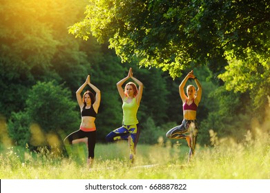 Girls posing yoga outside in the forest in the morning