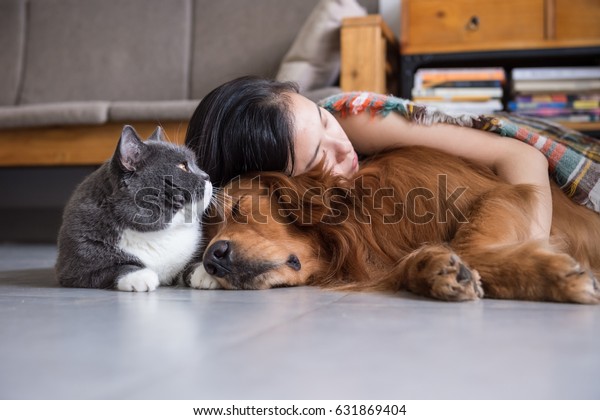 女の子は犬猫と寝る の写真素材 今すぐ編集