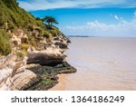 Gironde landscape in France