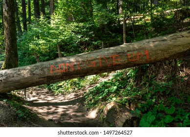 Don’t Give Up Message On Fallen Tree Over Forest Pathway