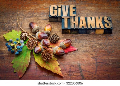 give thanks - Thanksgiving concept - text in letterpress wood type printing blocks with cone, acorn, leaf and berries fall decoration
