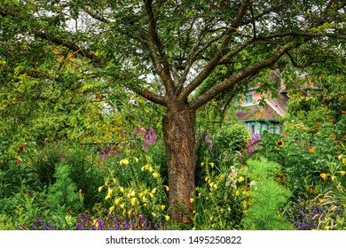 Giverny, France: The Claude Monet Garden At His Old House. The Foundation Claude Monet Preserves House And Garden Of Claude Monet. The Painter Gained Much Of His Inspiration From His Garden.