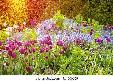 Giverny Garden France