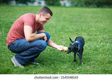 Giving His Puppy Lots Of Love And Attention. A Young Man Playing With His Dog Outdoors.