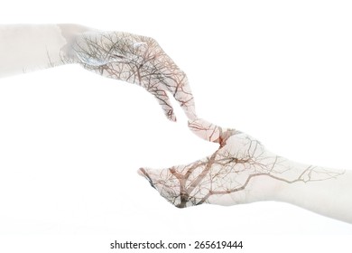 giving and receiving hands with tree branch layer graphic isolate on white background