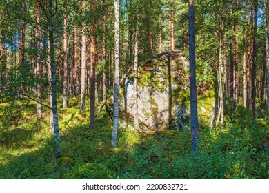 Glacial Erratic Rock In A Forest