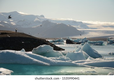 Jökulsárlón Glacial Lagoon In Iceland