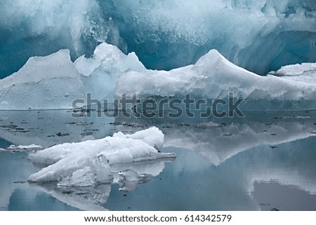 Similar – Island | Vögel auf einem Eisberg in einer Gletscherlagune