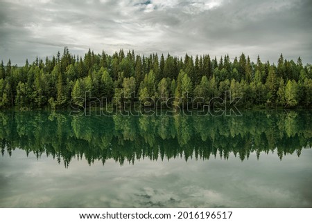 Glacial Lake and the Spruce Forest Line Scenic Nature Symmetrical Alignment Water Reflections. Nordland Norway.