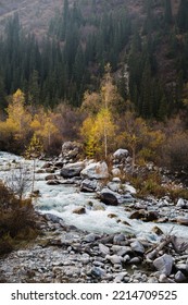 Glacial River Flows Through The Ala Archa Mountain Pass In Kyrgyzstan