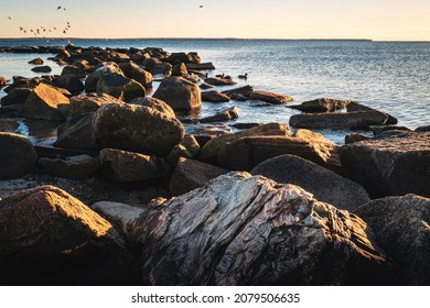 Glacial Rocks And Seagulls In The Bay. Blue Seascape At Dawn On Cape Cod, Massachusetts.