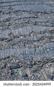 The glacial striations on the rock.