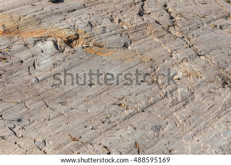 Glacial Striations on rock at Heliotrope Ridge Trail