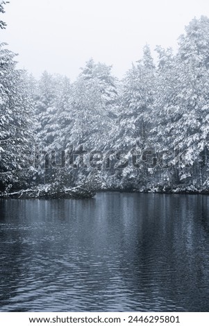 Glacial-like lagoon amidst snowy pine forest, surrounded by cold hues and frigid temperatures.