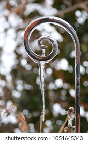 Glaciation After The Spring Thaw. Decorative Metal Support For Climbing Plants Is Covered With Ice. Icicle Hanging From The Decorative Support.