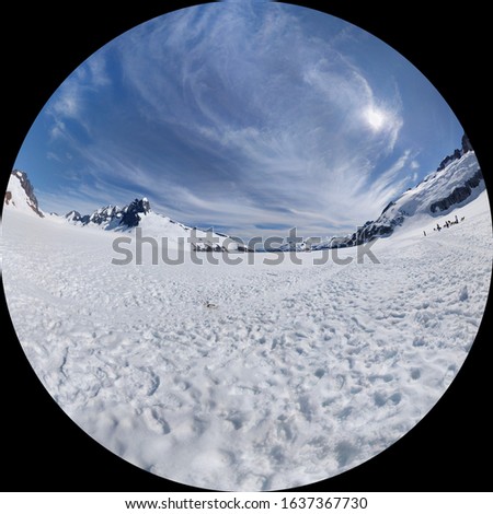 Similar – Image, Stock Photo In the snow Nature