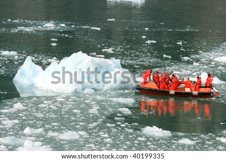 Glacier Bay Fjord - the icy waters of Alaska, USA