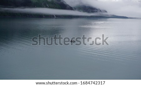 Similar – romantic ducks Lake Clouds