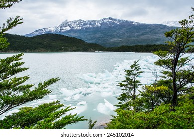 Glacier in the Bernardo O'Higgins National Park, Chile, South America - Shutterstock ID 245102014