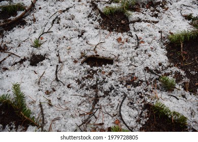 Glacier Crytal Mountain forest Head - Powered by Shutterstock