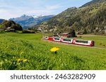 A Glacier Express travels thru the green fields with lovely wildflowers blooming in the grassy meadow and alpine mountains towering under blue sunny sky in background, in Ilanz, Grisons, Switzerland